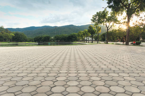 Best Permeable Paver Driveway  in Avonia, PA